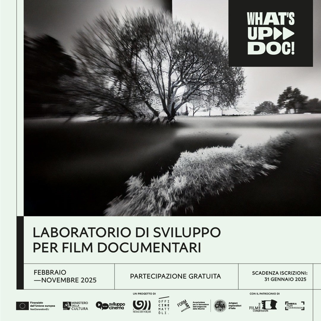 Locandina What's up Doc! laboratorio di sviluppo per film documentari